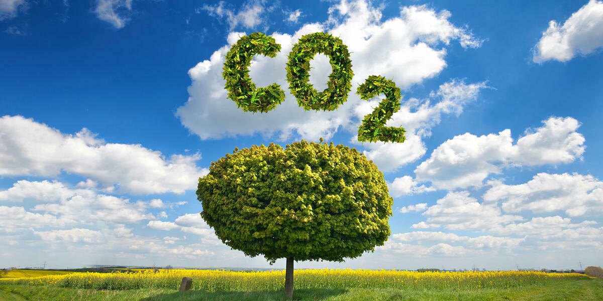 再生可能エネルギーCO2フリー