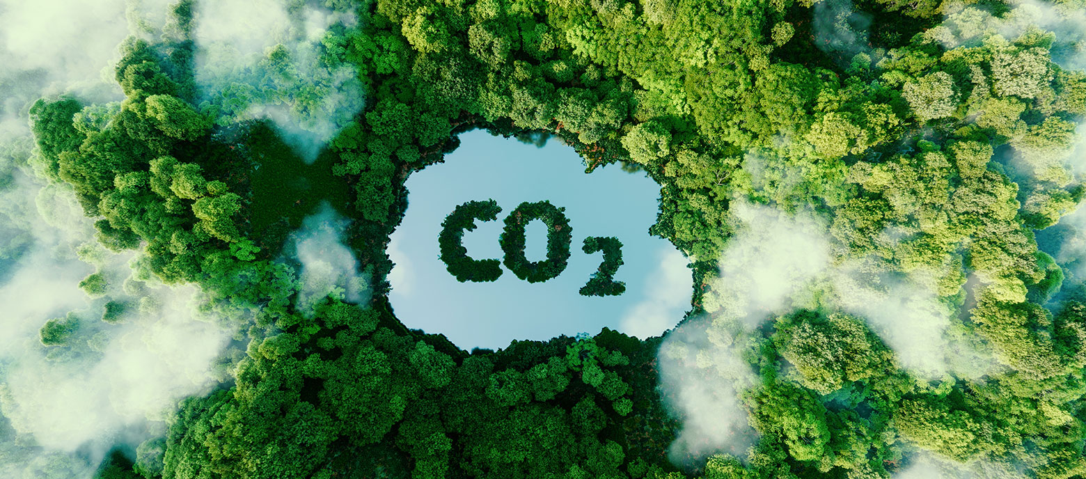 再生可能エネルギーCO2フリー